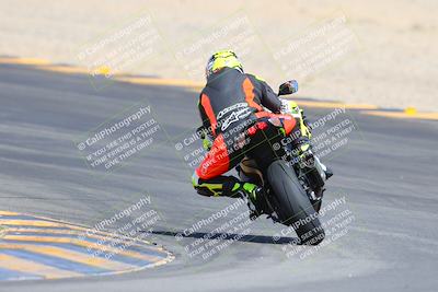 media/Mar-10-2024-SoCal Trackdays (Sun) [[6228d7c590]]/9-Turn 8 Backside (1150am)/